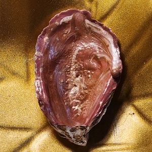 Hand-designed 🎨 oyster shell 🦪 trinket dish | ring holder | decorative piece